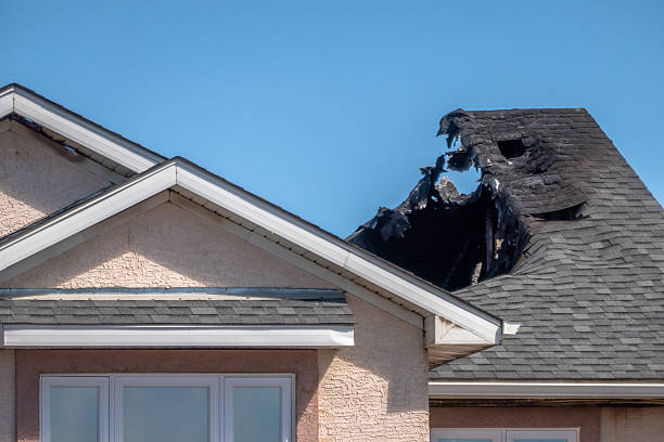 Top rated local Firefighting Water Removal specialists in Elmwood, WI